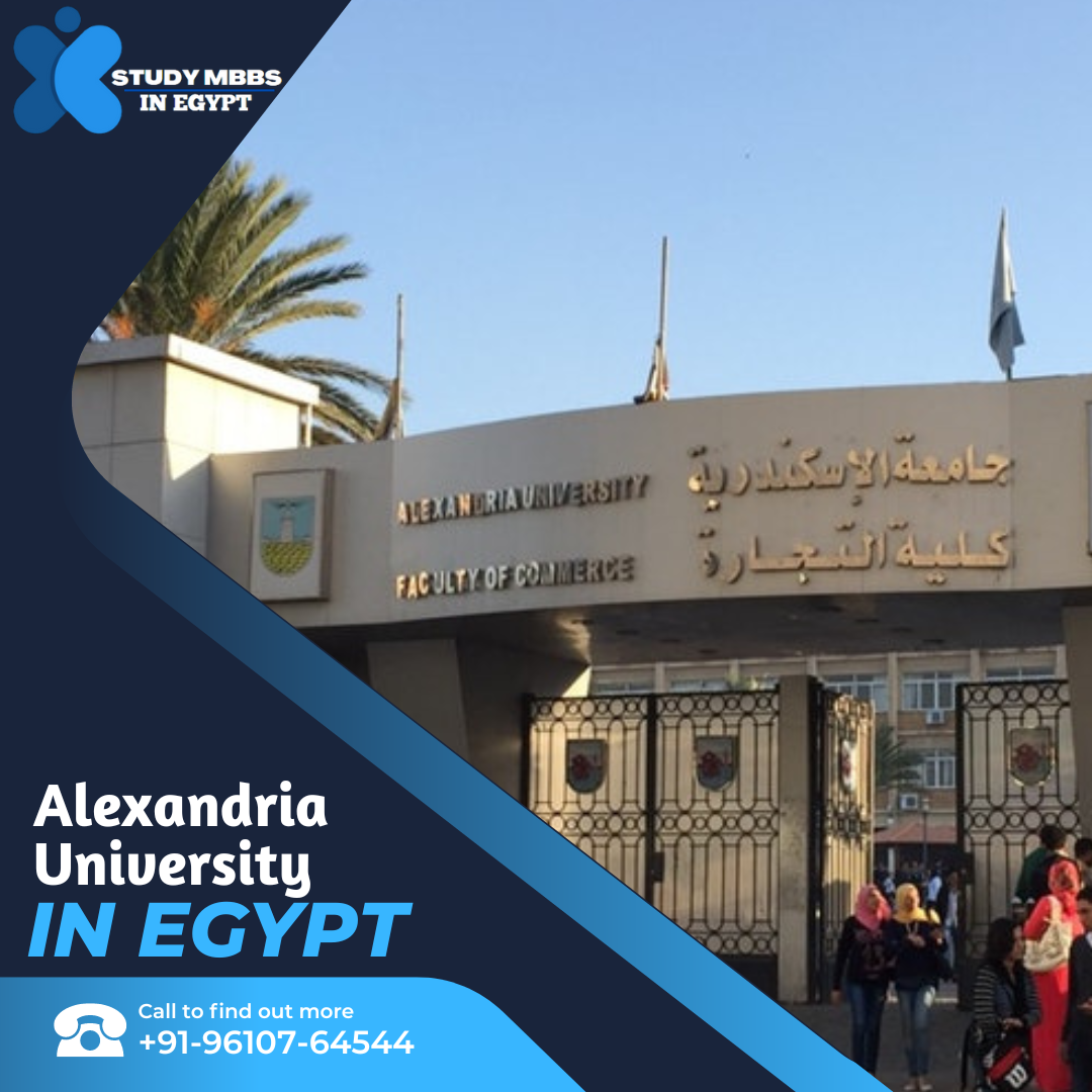 Alexandria University Egypt