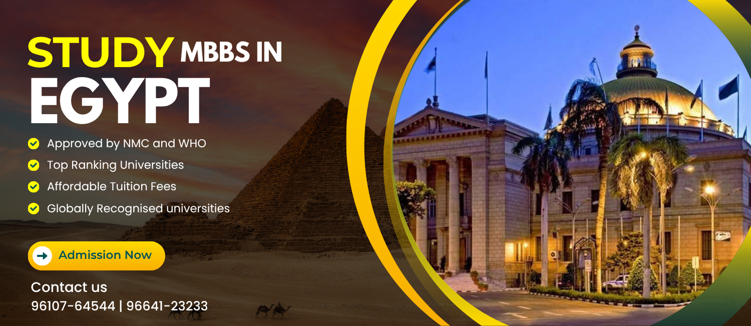 study mbbs in egypt 2025 (1)
